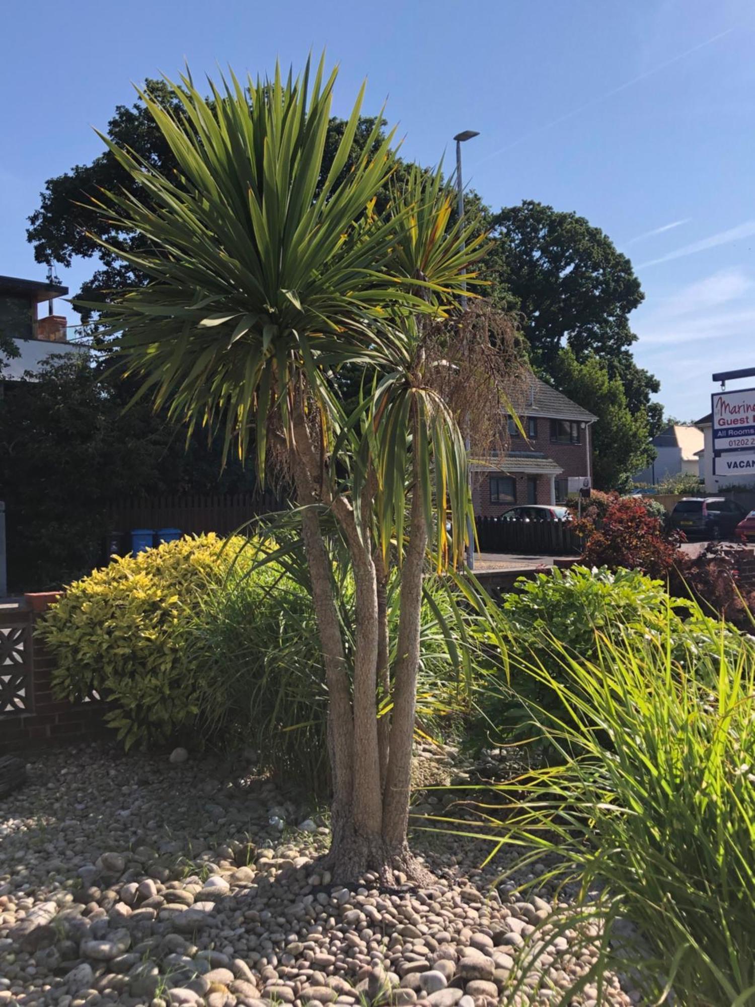 The Mariners Guest House Poole Buitenkant foto